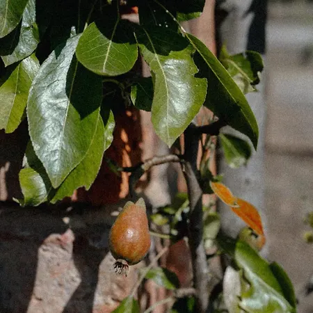 Saltmoore אתר נופש סנדסאנד