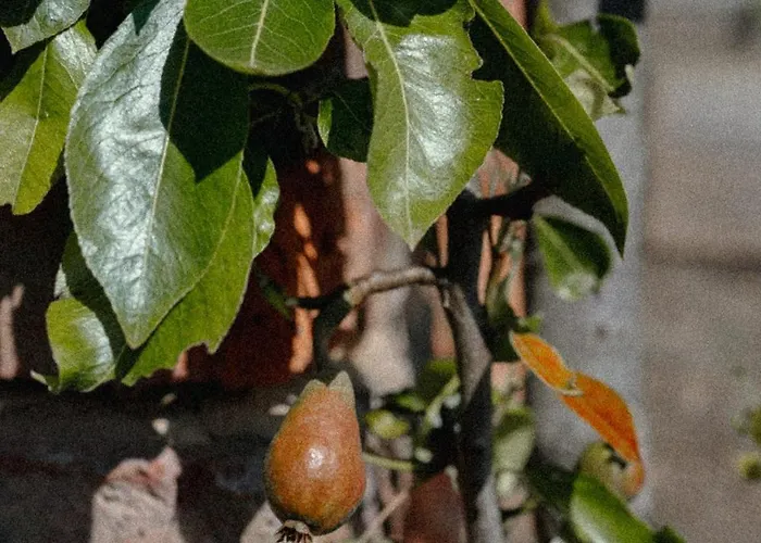 Saltmoore Station touristique Sandsend