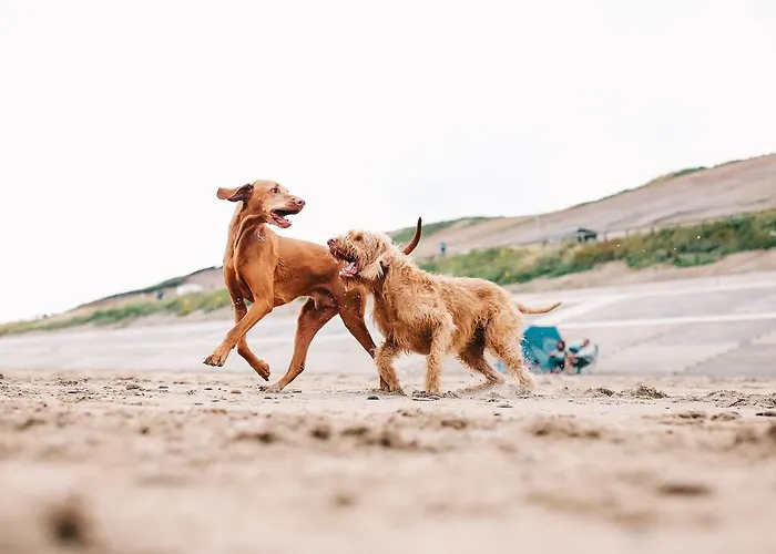 Saltmoore Station touristique Sandsend