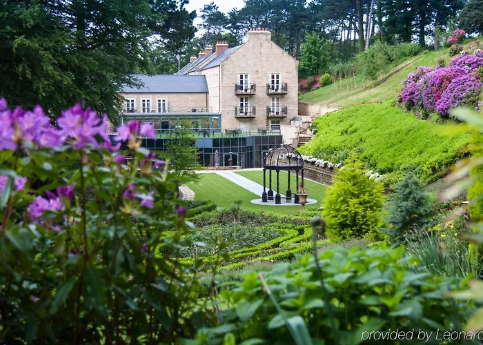 度假村 Saltmoore 桑森德